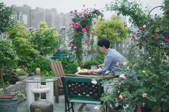 Người phụ nữ 45 tuổi biến toàn bộ không gian sân thượng thành khu vườn địa đàng-14