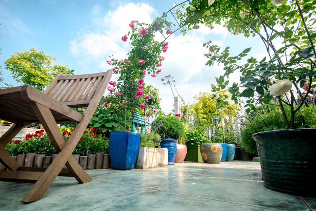 Người phụ nữ 45 tuổi biến toàn bộ không gian sân thượng thành khu vườn địa đàng-13