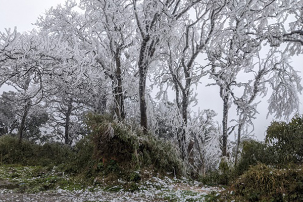 Âm 1 độ, du khách đổ xô lên ngắm hoa đào đóng băng ở Hà Giang-14