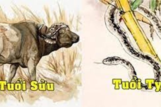 Tử vi tuần mới từ 21-27/2/2022 của 12 con giáp: Sửu tài lộc rực rỡ, Tỵ được thần may mắn mang đến điềm lành