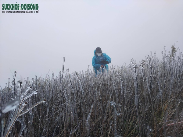 Du khách ùn ùn đi săn băng tuyết, Cục Cảnh sát giao thông khuyến cáo khẩn-2