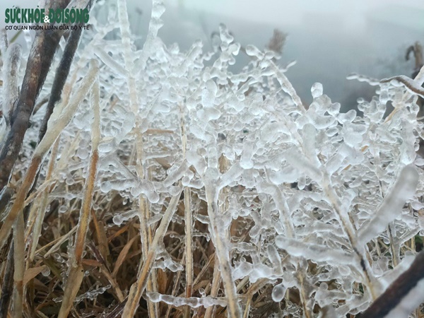 Du khách ùn ùn đi săn băng tuyết, Cục Cảnh sát giao thông khuyến cáo khẩn-4