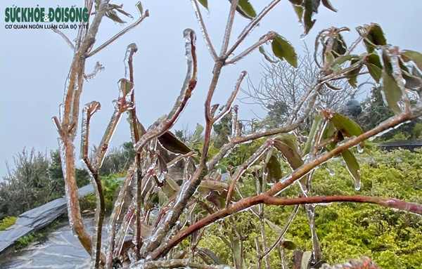 Du khách ùn ùn đi săn băng tuyết, Cục Cảnh sát giao thông khuyến cáo khẩn-5