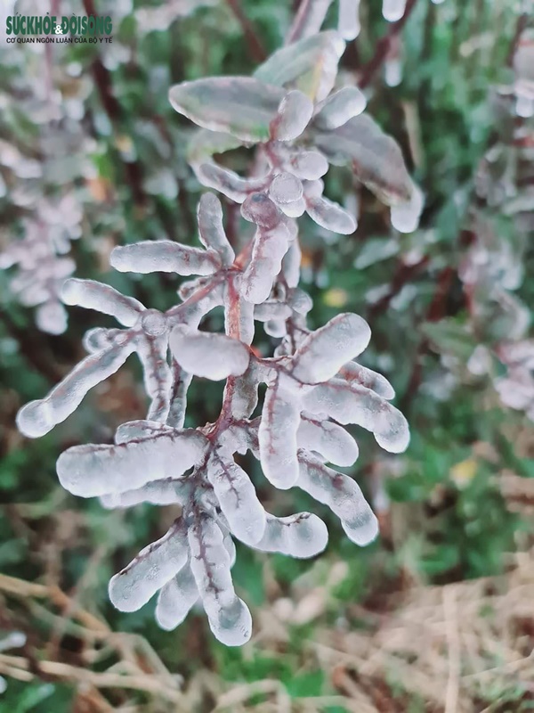 Du khách ùn ùn đi săn băng tuyết, Cục Cảnh sát giao thông khuyến cáo khẩn-6