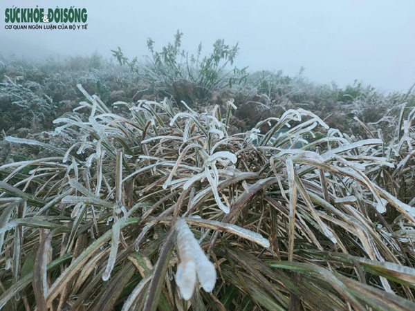 Du khách ùn ùn đi săn băng tuyết, Cục Cảnh sát giao thông khuyến cáo khẩn-7