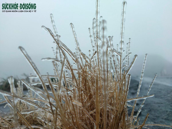 Du khách ùn ùn đi săn băng tuyết, Cục Cảnh sát giao thông khuyến cáo khẩn-8