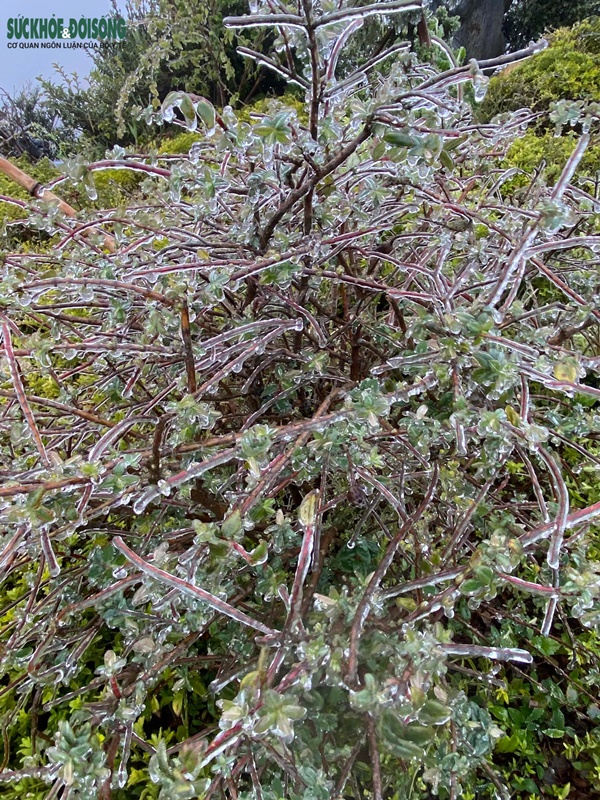 Du khách ùn ùn đi săn băng tuyết, Cục Cảnh sát giao thông khuyến cáo khẩn-9