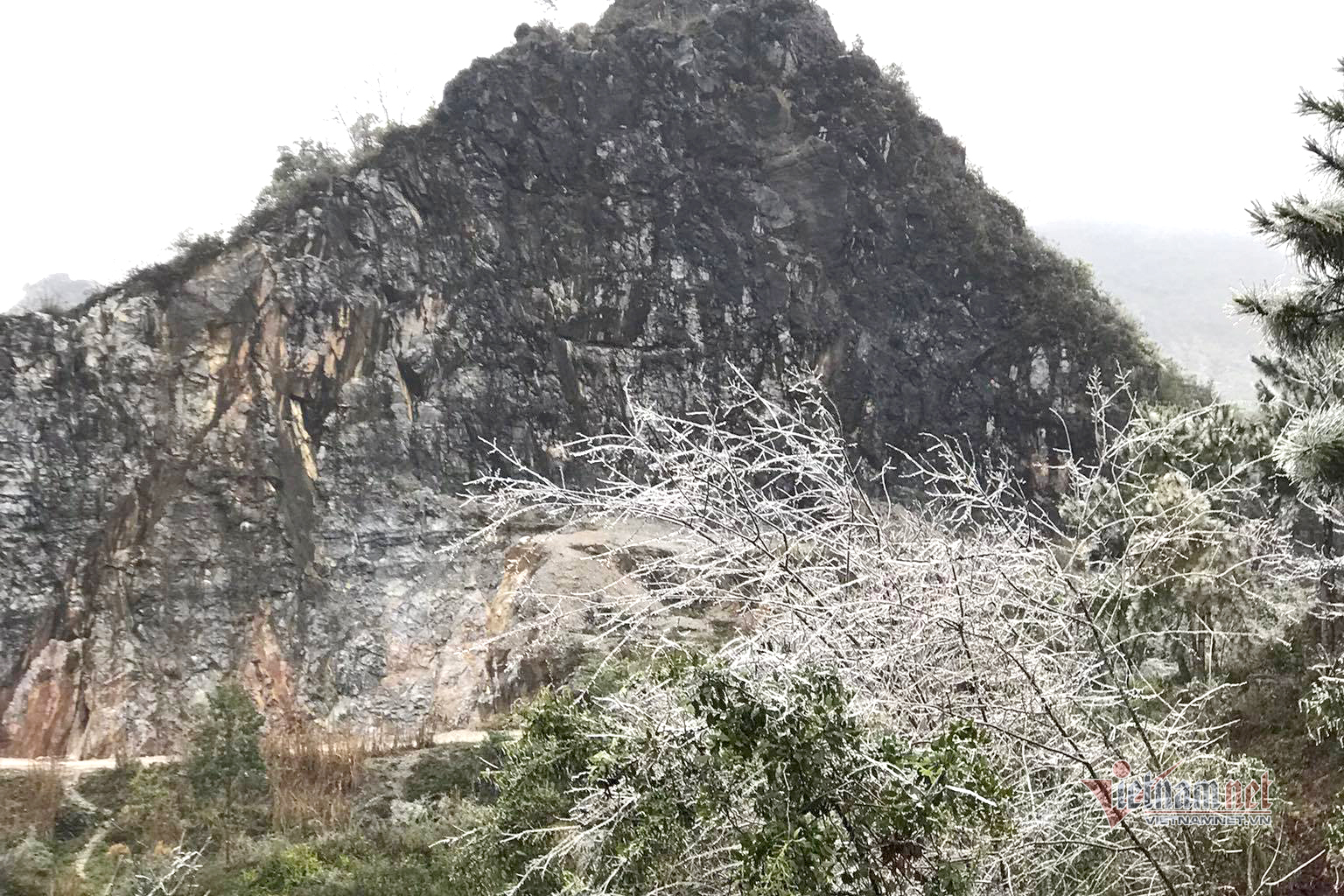 Âm 1 độ, du khách đổ xô lên ngắm hoa đào đóng băng ở Hà Giang-10