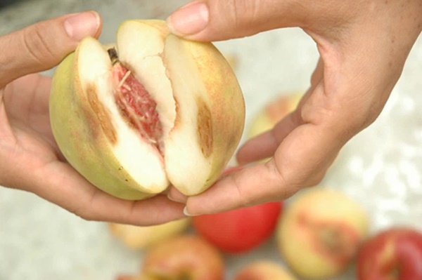 5 thứ trong nhà là nơi ẩn náu lý tưởng của độc tố aflatoxin, hóa ra bạn đang nuôi chất gây ung thư mà chẳng hề hay biết-4