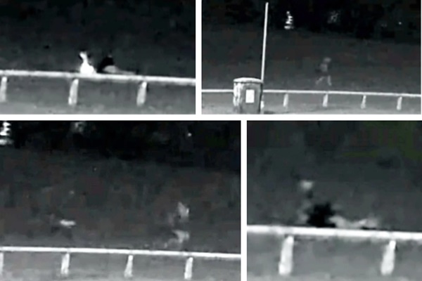 Người phụ nữ bị tên biến thái đuổi theo tấn công tình dục nơi vắng vẻ, video ghi lại diễn biến khiến người xem sởn da gà-2