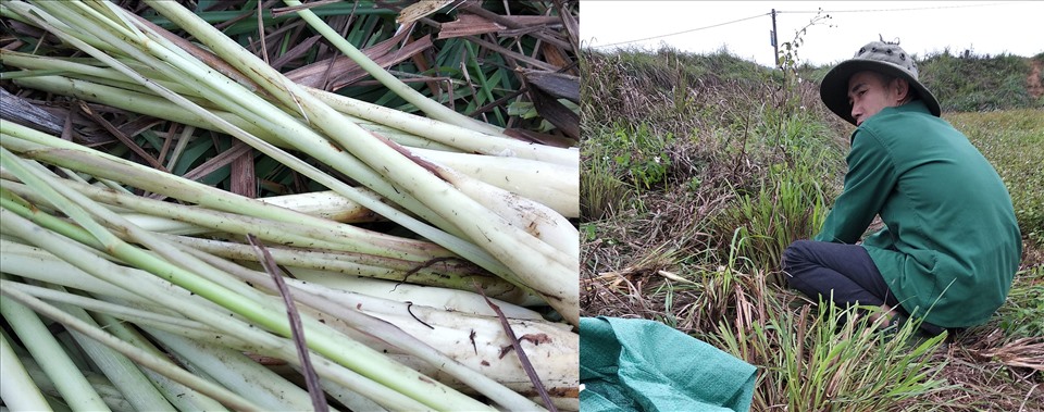 Cạn lời đi chợ giữa dịch Covid-19: Sả đắt gấp ba, thì là 400.000 đồng/kg-6