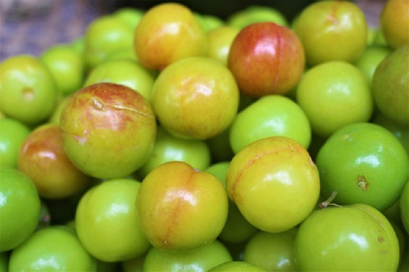 Mận cơm đầu mùa, chua chua, chát nhẹ giúp chị em chống ngấy sau thời gian ăn Tết cao đạm-6