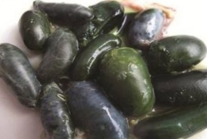 Bé sơ sinh 9 ngày tuổi nguy kịch vì người nhà cho uống mật khỉ để… phòng bệnh-1