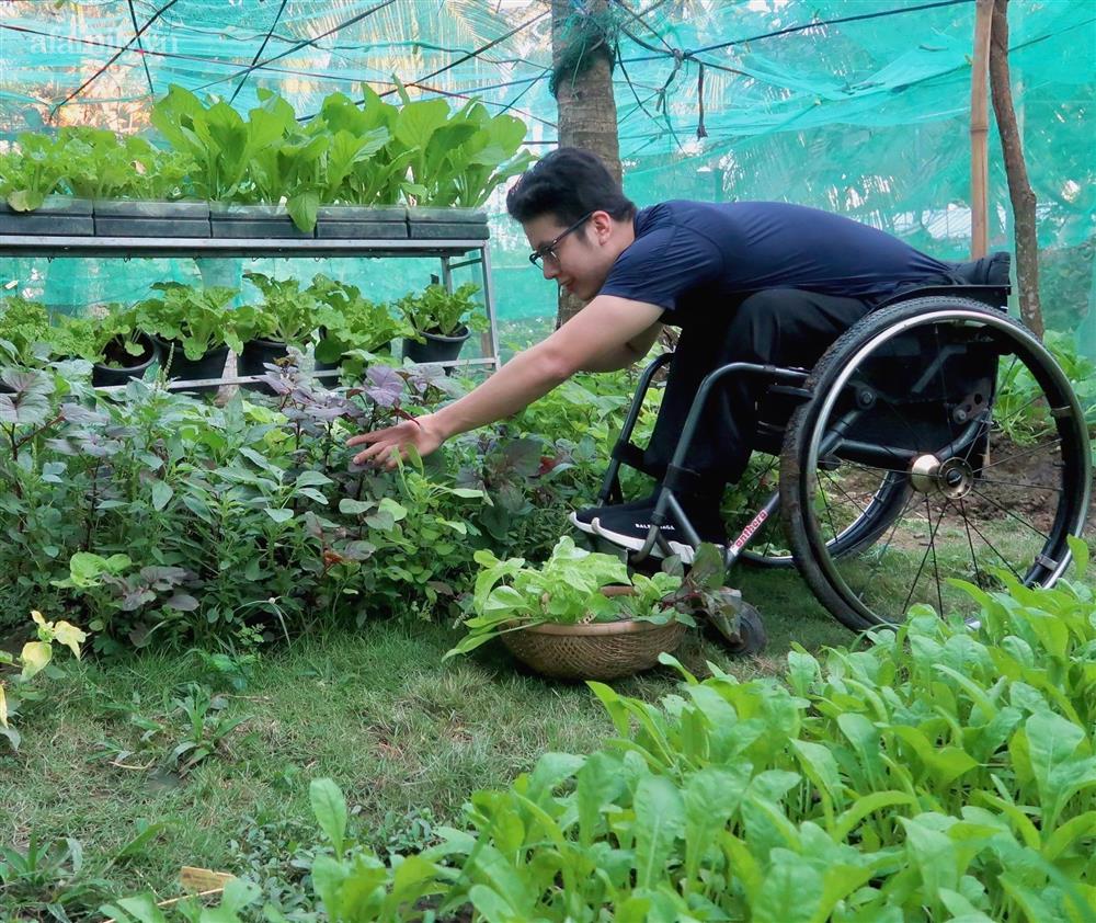 Khu vườn sai trĩu của chàng trai bị liệt hai chân, ngồi trên xe lăn chăm rau, quả mỗi ngày-4