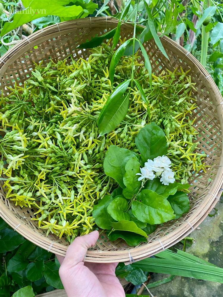 Khu vườn sai trĩu của chàng trai bị liệt hai chân, ngồi trên xe lăn chăm rau, quả mỗi ngày-29