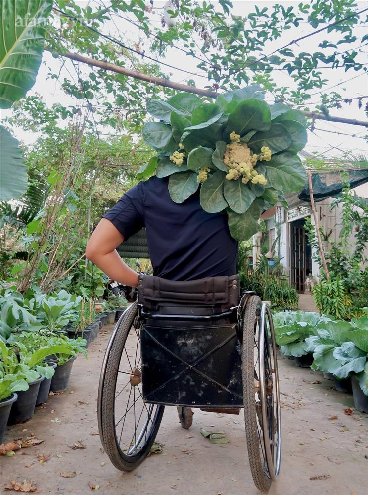 Khu vườn sai trĩu của chàng trai bị liệt hai chân, ngồi trên xe lăn chăm rau, quả mỗi ngày-33