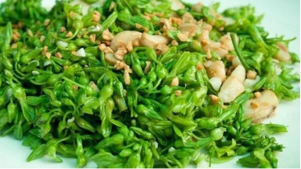 Nhà tôi ba đời làm nghề nông: Mẹ bảo ăn rau củ cứ loại này mà chọn, ít thuốc trừ sâu giàu dinh dưỡng-2