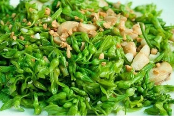 Đều là tỏi, loại vỏ tím tốt hơn hay loại vỏ trắng tốt hơn: Đa số bà nội trợ không biết câu trả lời-3