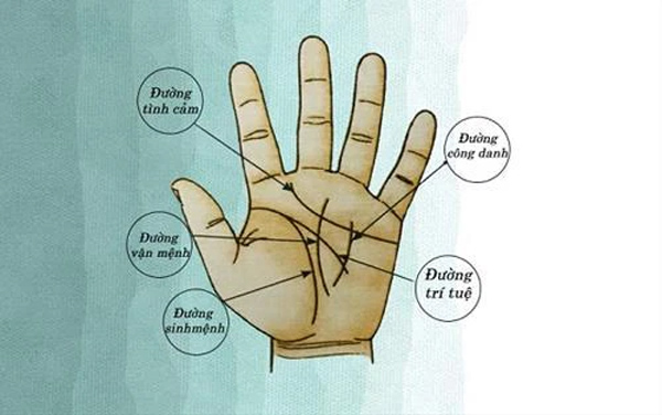 Cổ nhân nói Tay nam 1 đường thành vàng bạc, tay nữ 1 đường bỏ người nuôi nghĩa là gì?-1