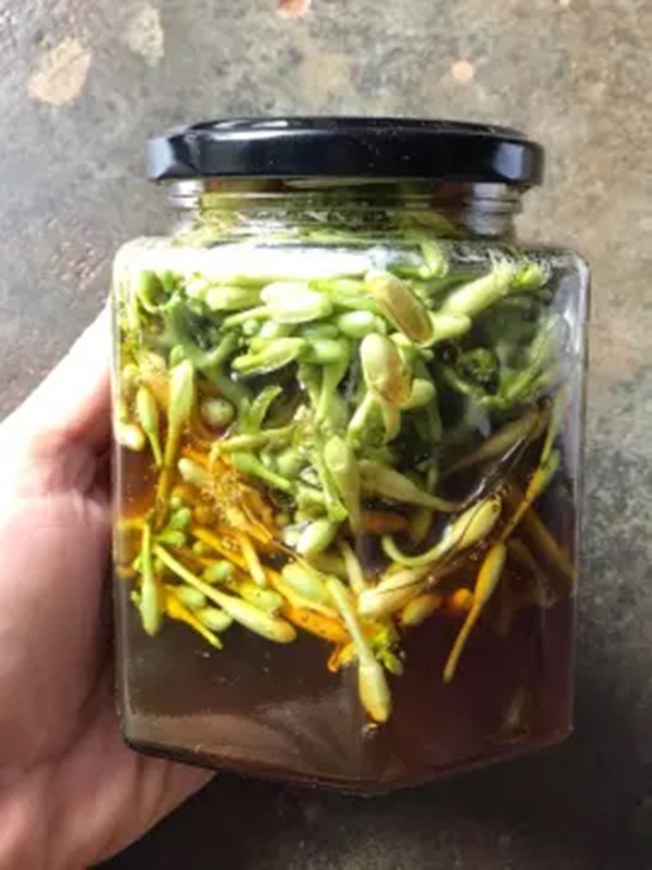 Nhà nào có loại hoa này thì quý như vàng: Đem ngâm với mật ong vừa làm siro chữa ho siêu đỉnh vừa giúp trẻ hóa mạch máu, phòng tránh tiểu đường, ung thư-2