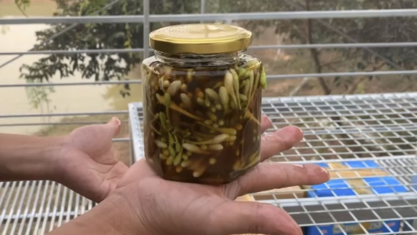 Nhà nào có loại hoa này thì quý như vàng: Đem ngâm với mật ong vừa làm siro chữa ho siêu đỉnh vừa giúp trẻ hóa mạch máu, phòng tránh tiểu đường, ung thư-4