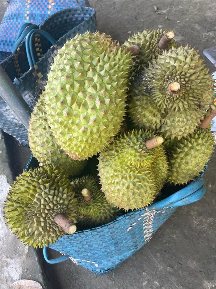 Giá sầu riêng tăng mạnh nhất ở Tiền Giang, đắt gấp ba lần năm trước-2