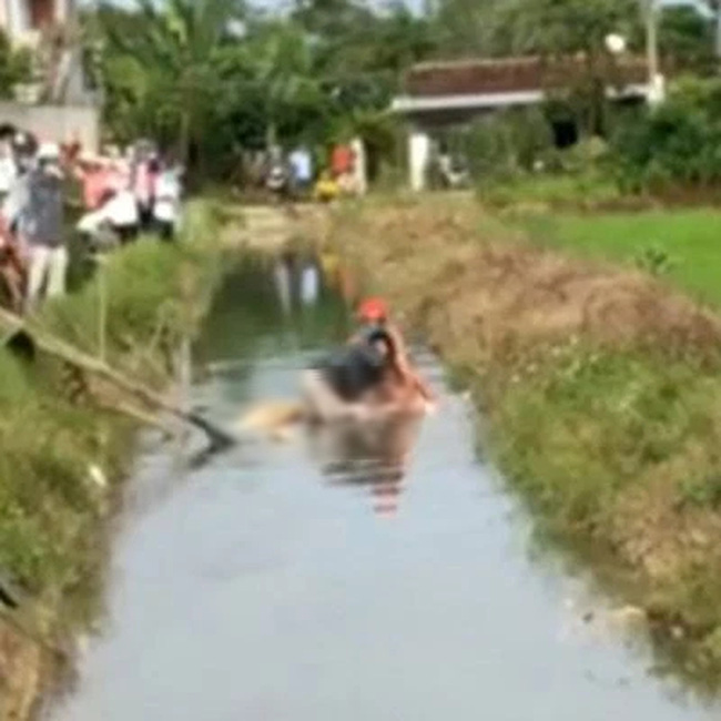 Vụ cô gái tử vong dưới mương nước sau 3 ngày mất tích: Xác định nguyên nhân-1