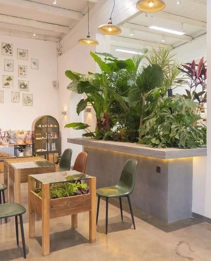 Nữ phóng viên nghỉ việc để cải tạo nhà xưởng cũ 600m² thành ngôi nhà ngập tràn hoa-4