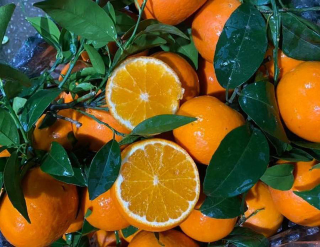 Không chỉ gừng, sả, cam vụt tăng giá gấp 3, vẫn bán hết vèo cả tấn-2