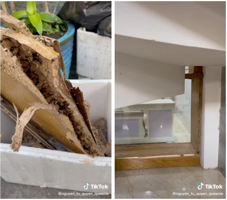 Mua căn nhà đầu tiên ở tuổi 25 với giá 10 tỷ, cô nàng hối hận với cái dại đầu đời: Nội thất mối mọt chưa tai hại bằng việc không xem hướng-3