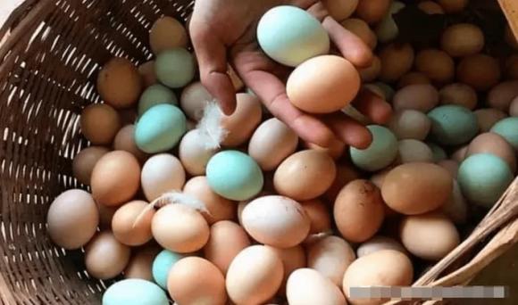 Dùng cách này bảo quản trứng hiệu quả hơn cả tủ lạnh, để 3 tháng vẫn tươi ngon, không sợ hỏng ngay cả mùa hè-6