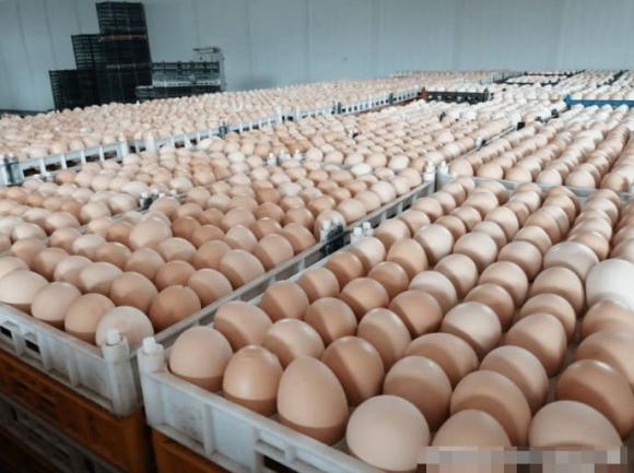 Dùng cách này bảo quản trứng hiệu quả hơn cả tủ lạnh, để 3 tháng vẫn tươi ngon, không sợ hỏng ngay cả mùa hè-7
