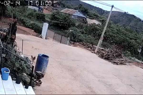 Trần nhà văn phòng bất ngờ bị sập, nhân viên chỉ kịp giơ tay che đầu-1