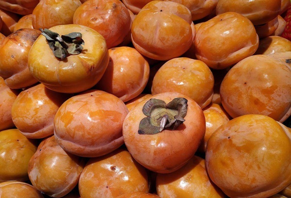 3 dấu hiệu bất thường vào buổi sáng chứng tỏ ung thư phổi đã xuất hiện, khuyến cáo 5 món ăn để giải độc phổi-5