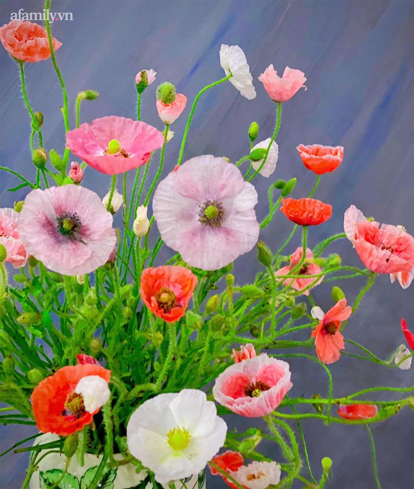 Chị em rộ mốt chơi hoa poppy kiều diễm, chưa tới 200k là được bình hoa đẹp ngây ngất-12
