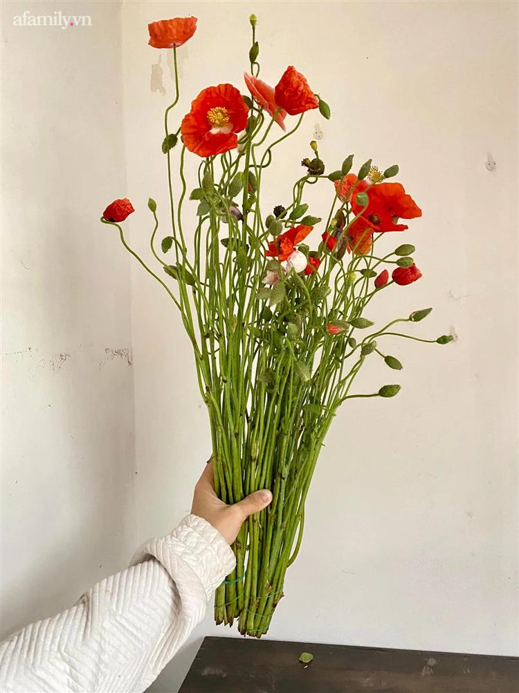 Chị em rộ mốt chơi hoa poppy kiều diễm, chưa tới 200k là được bình hoa đẹp ngây ngất-13