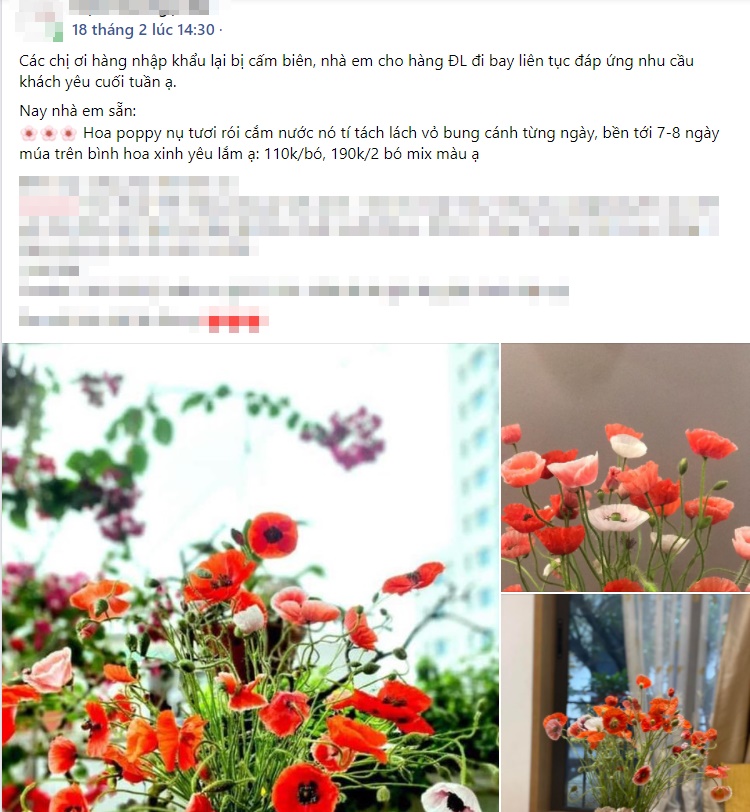 Chị em rộ mốt chơi hoa poppy kiều diễm, chưa tới 200k là được bình hoa đẹp ngây ngất-14