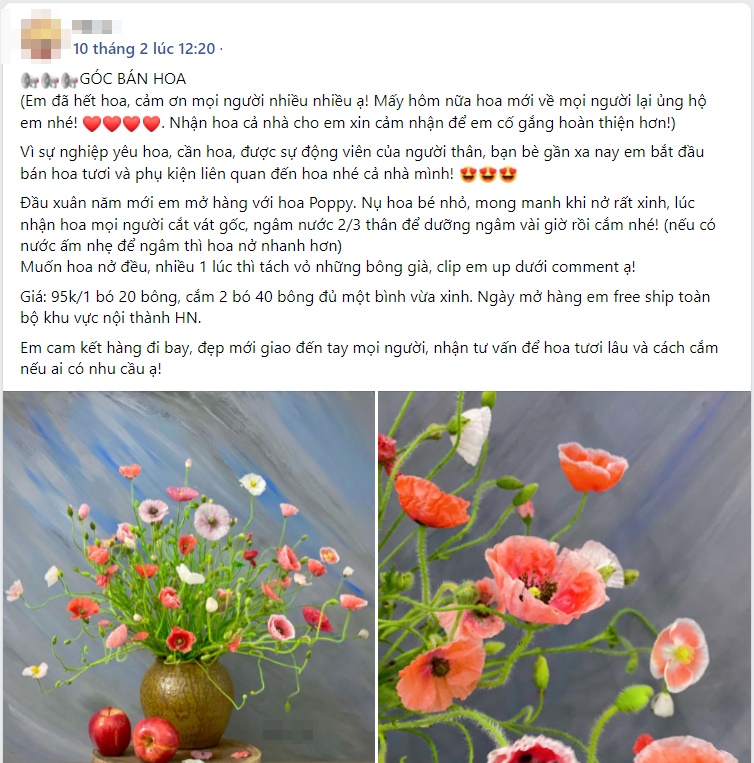 Chị em rộ mốt chơi hoa poppy kiều diễm, chưa tới 200k là được bình hoa đẹp ngây ngất-15