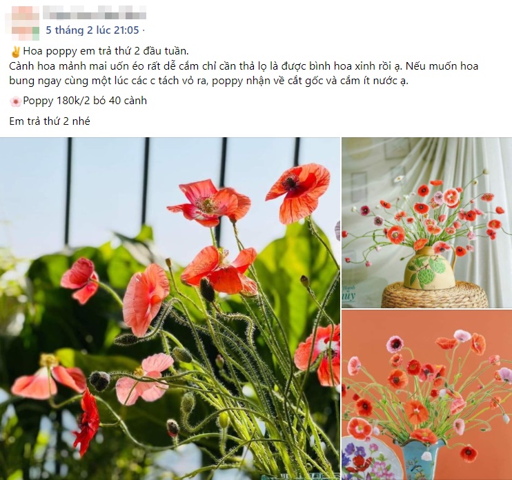 Chị em rộ mốt chơi hoa poppy kiều diễm, chưa tới 200k là được bình hoa đẹp ngây ngất-16