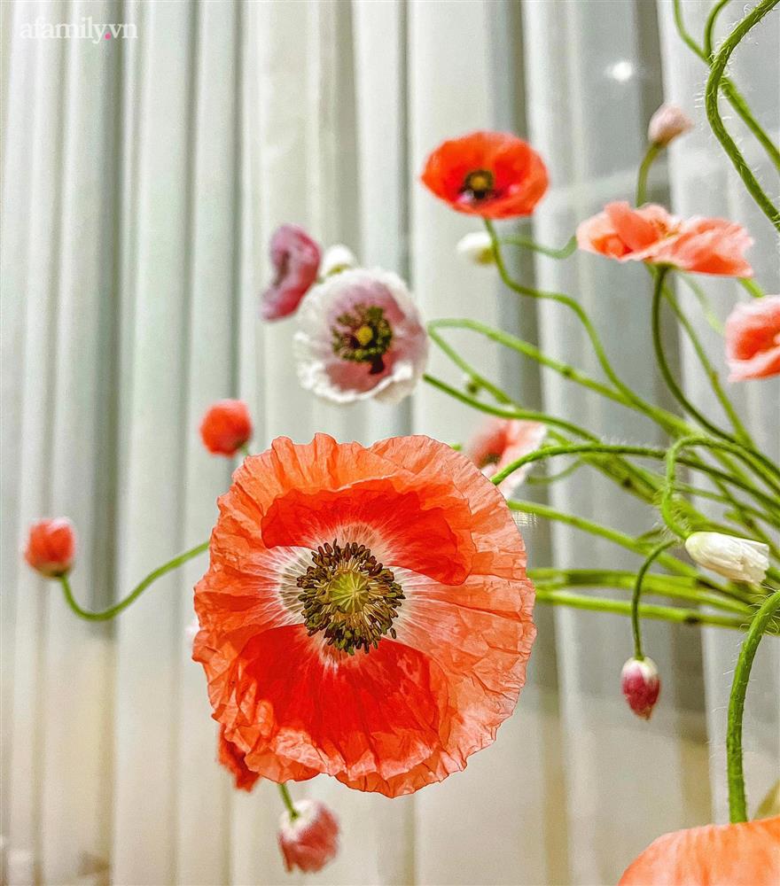 Chị em rộ mốt chơi hoa poppy kiều diễm, chưa tới 200k là được bình hoa đẹp ngây ngất-4