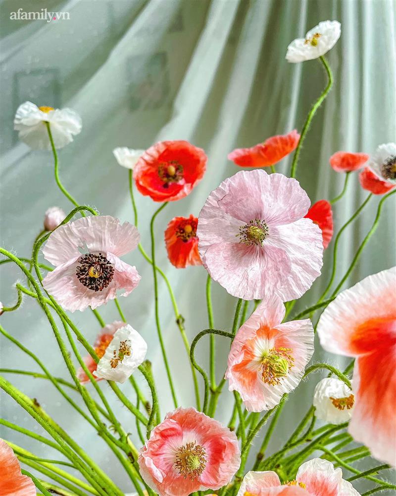 Chị em rộ mốt chơi hoa poppy kiều diễm, chưa tới 200k là được bình hoa đẹp ngây ngất-7
