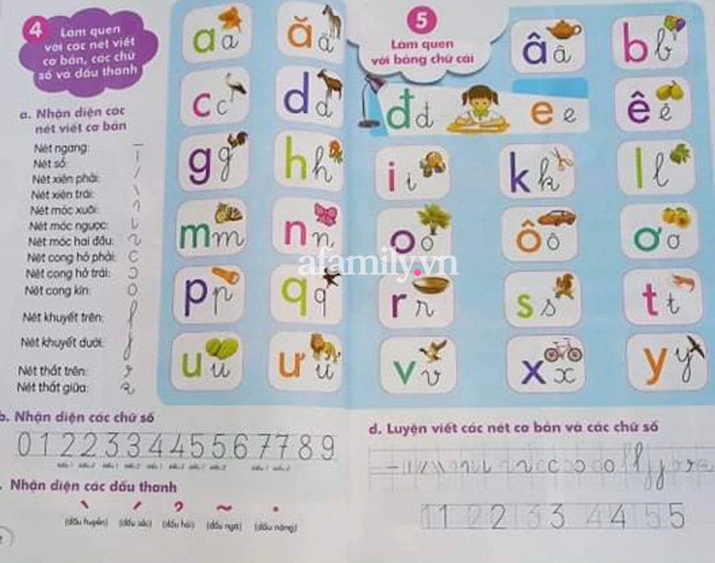 Vụ việc NÓNG Sách Tiếng Việt 1 NXB GDVN không dạy chữ P: Loạt giáo viên, phụ huynh lên tiếng về sự thật ở đầu cuốn sách-3