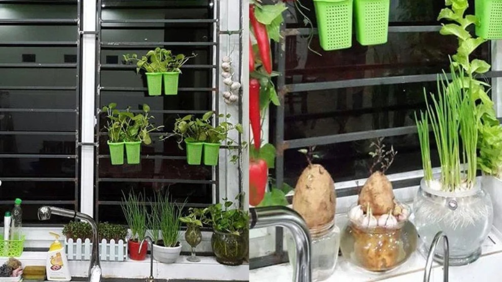 Bếp là nơi hứng lộc: Có 2 thứ này là đại cát, 4 dấu hiệu đại kỵ khiến gia chủ mãi nghèo hèn-1