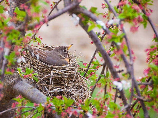 Sinh tháng Âm lịch này chạm nút là bùng nổ tài năng, tương lai thành danh, giàu có-3