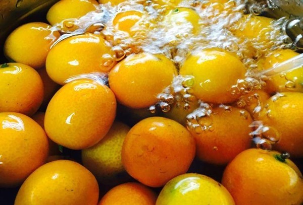 Mùa dịch mẹ làm ngay hũ quất ngâm&nbsp;để cả nhà phòng bệnh, vừa ấm phổi, giảm ho lại long đờm&nbsp;cực hiệu quả-2