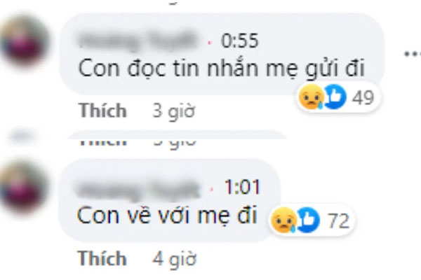 Vụ hòn non bộ ở Quảng Ninh, xử phạt người bình luận sai trên mạng xã hội-3