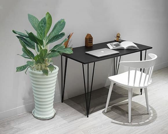 Có những cây may mắn” này trong phòng khách thì chín trong mười gia đình sẽ giàu có, sung túc-2