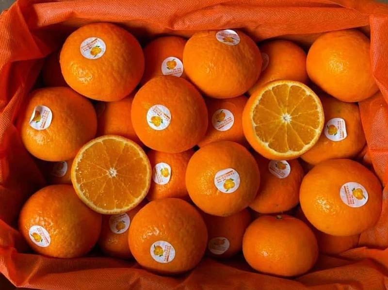 Giữa lúc cam, quýt giá tăng giá, nhiều loại trái cây sang chảnh rẻ bất ngờ-1