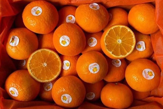 Giữa lúc cam, quýt giá tăng giá, nhiều loại trái cây sang chảnh rẻ bất ngờ