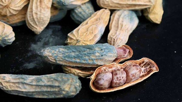 7 thực phẩm gây ung thư cực phổ biến trong các gia đình Việt nếu ăn nhiều, tiết lộ 7 thói quen ăn uống cần thay đổi để sống khỏe-4